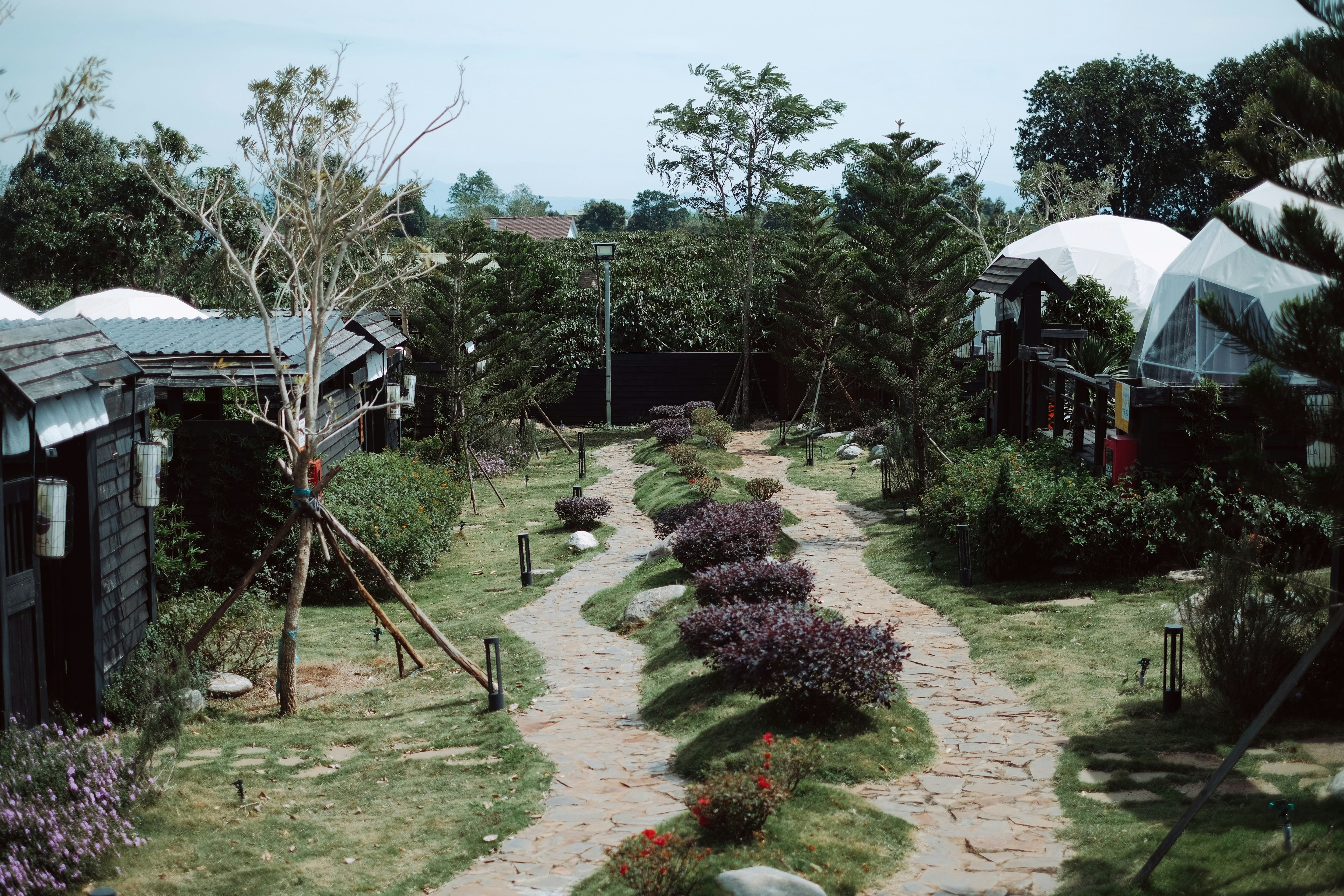 Join the Stewardship Path, an 8-week immersive course