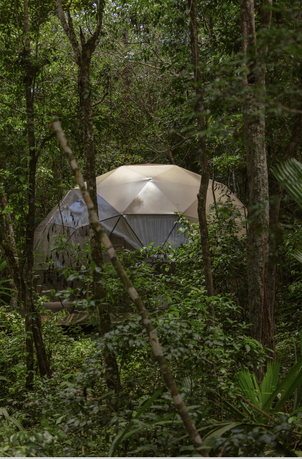 Geodesic domes