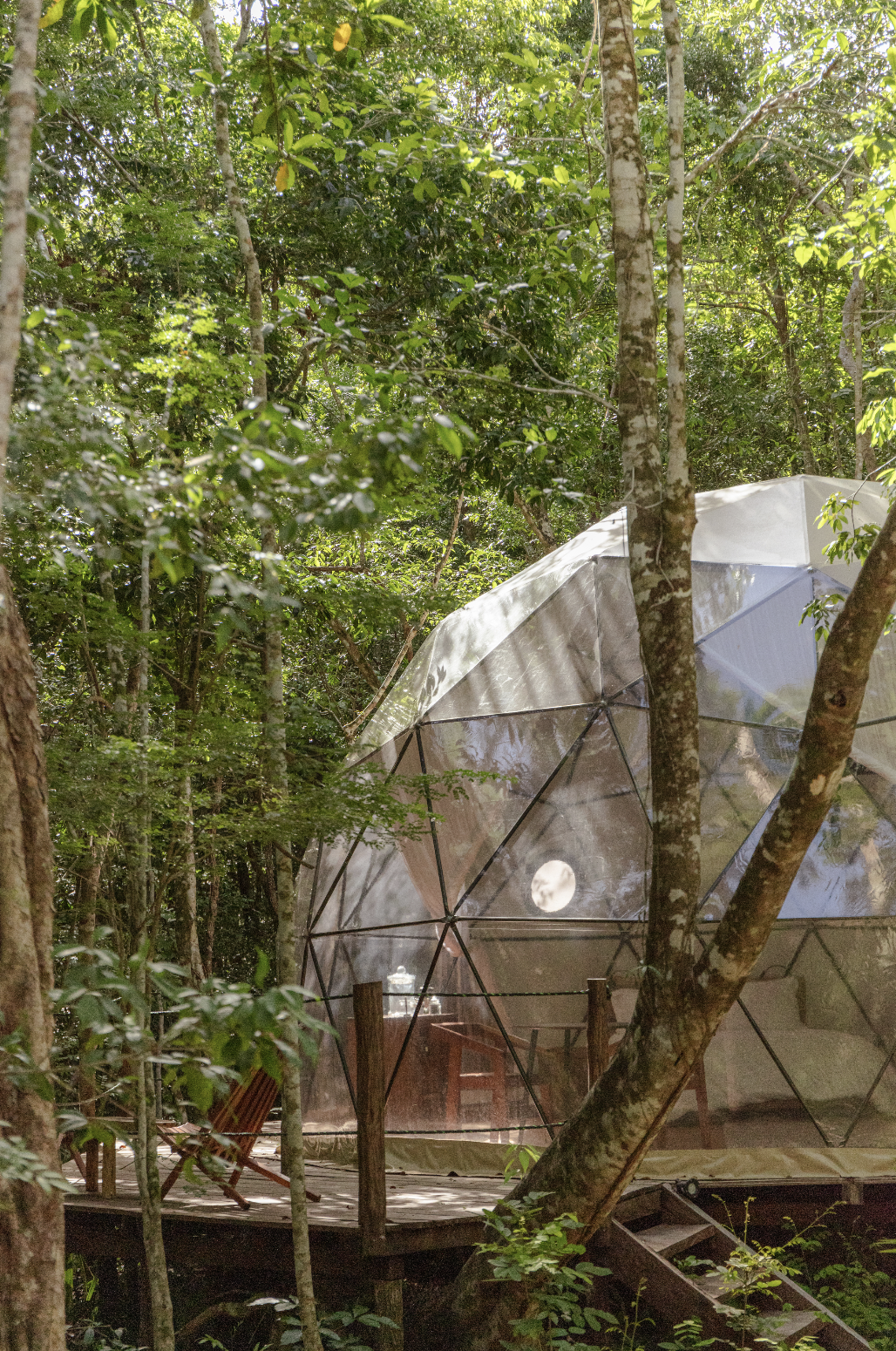Geodesic domes