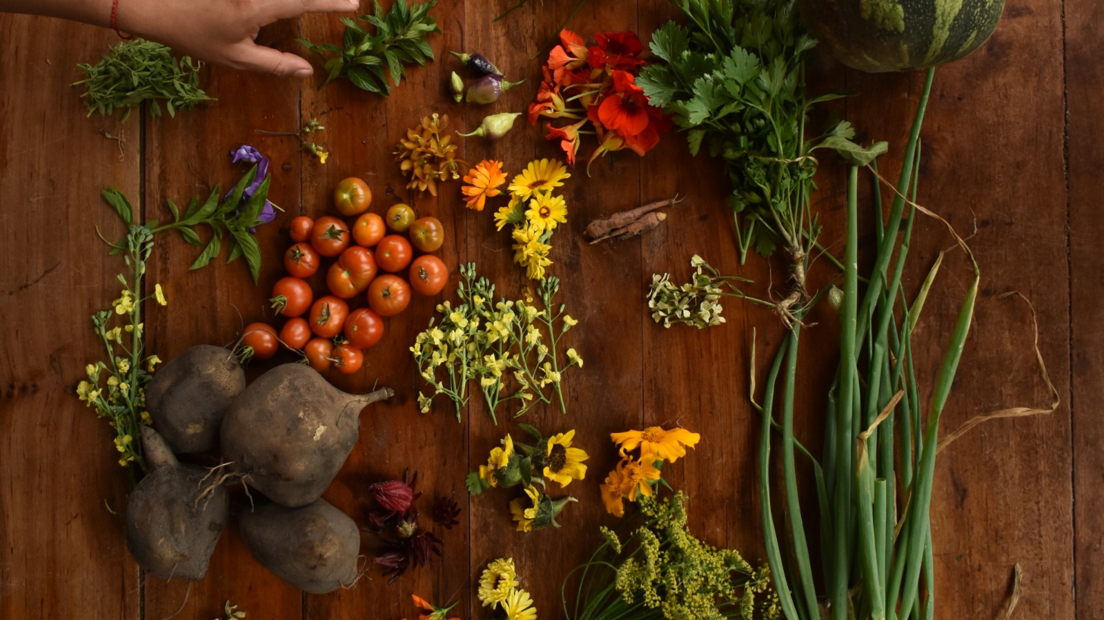 Farm to Table