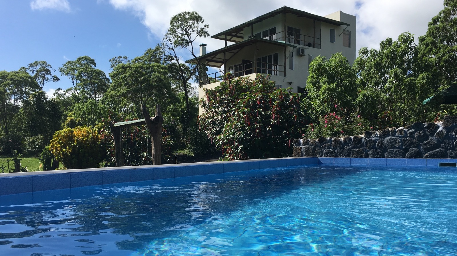 Swimming pool and Finch Wing