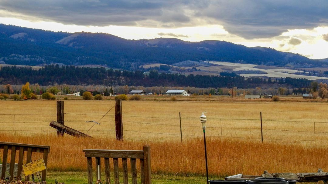 Neighboring Property